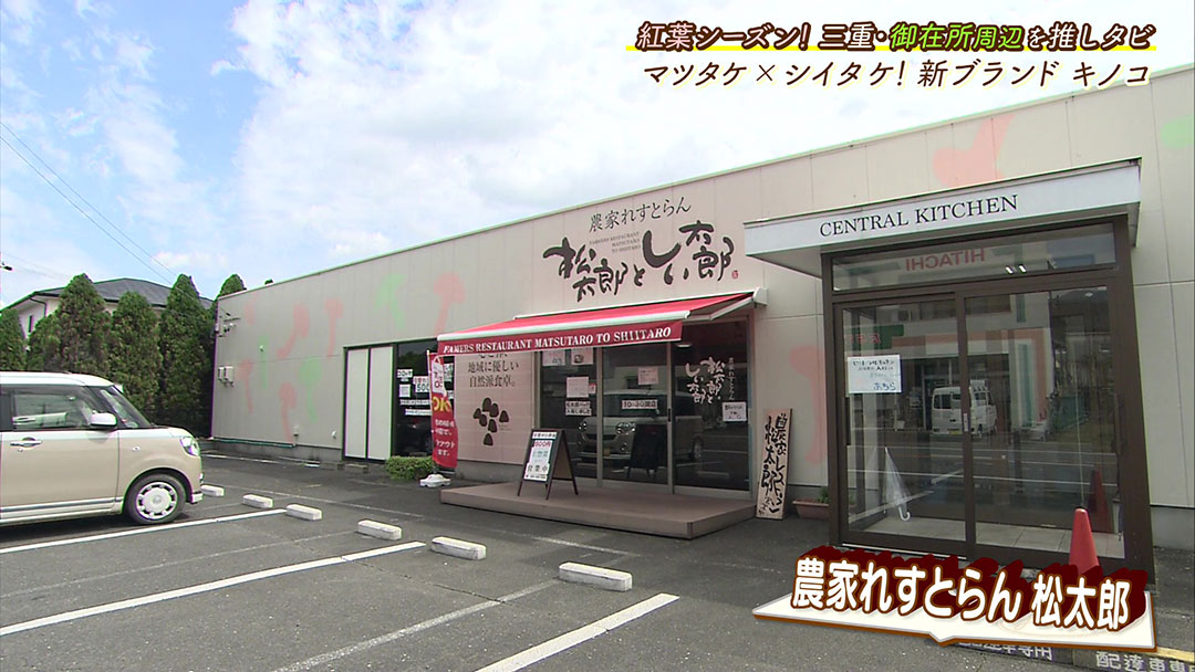 シイタケとマツタケのハイブリッド! 地元の新ブランドキノコ“松太郎