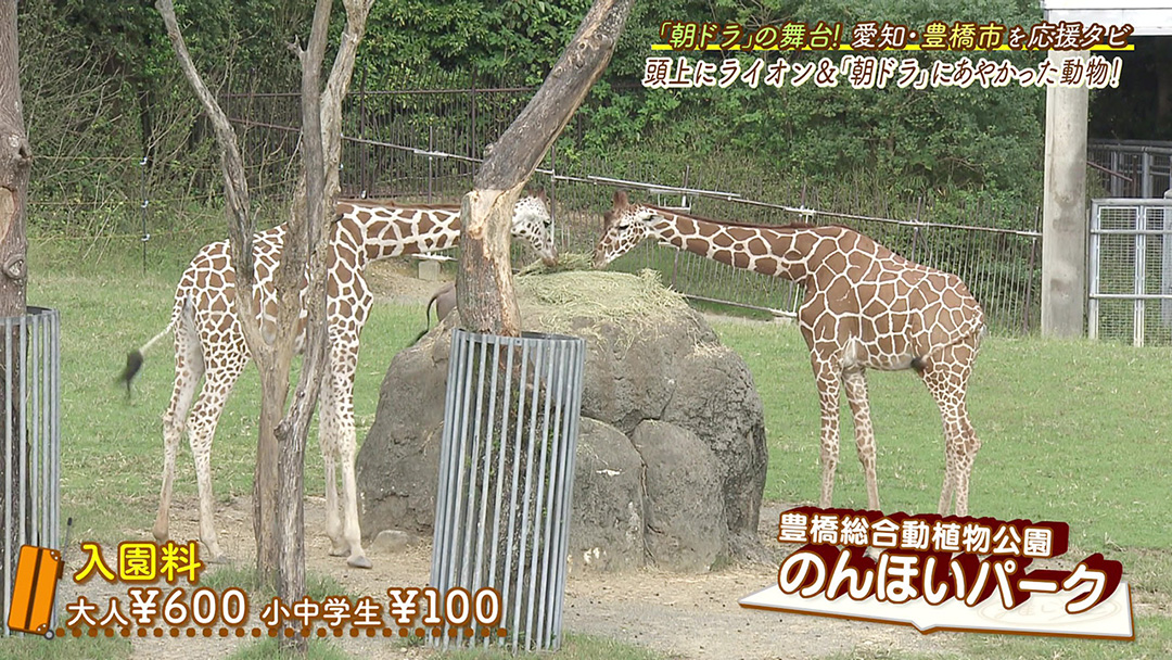 日本で唯一の新展示場&ベビーラッシュ! 地元の人に愛され続けている動植物公園