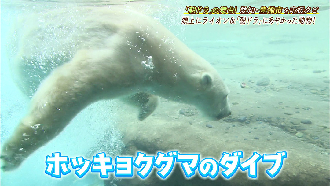 日本で唯一の新展示場&ベビーラッシュ! 地元の人に愛され続けている動植物公園