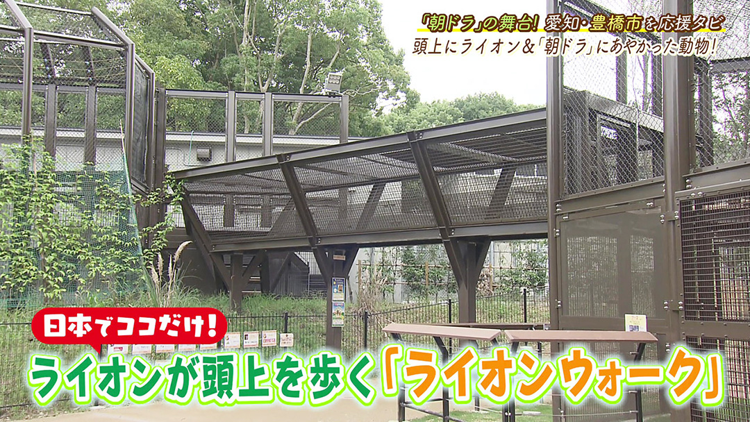 日本で唯一の新展示場&ベビーラッシュ! 地元の人に愛され続けている動植物公園