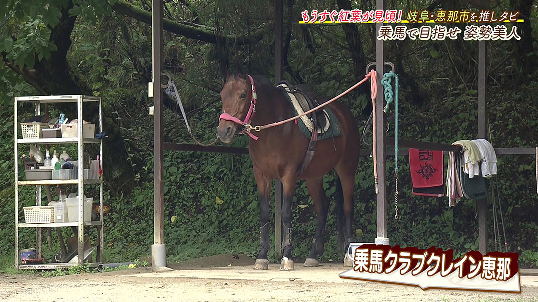 女性におすすめ! 乗馬で体幹を鍛えて姿勢美人に