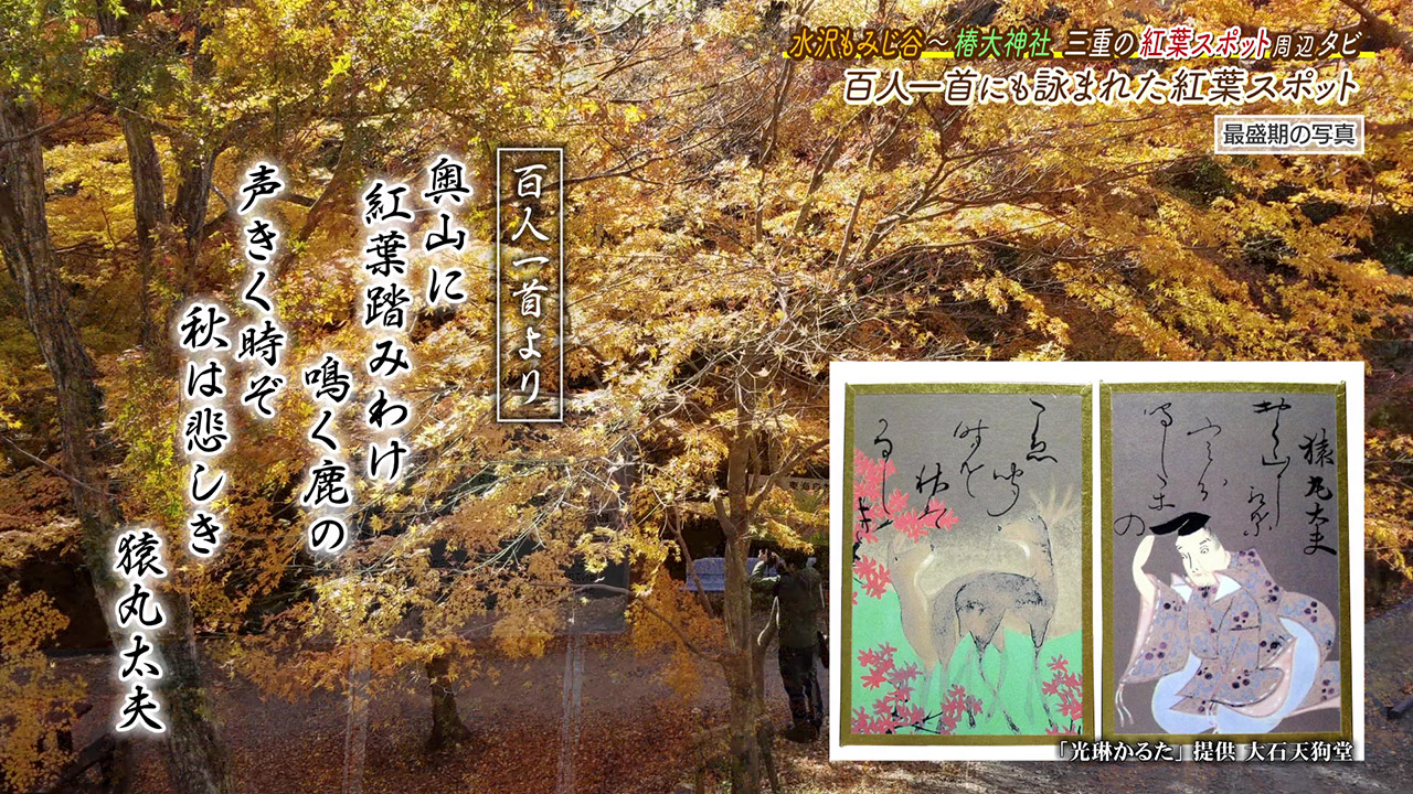 百人一首にも詠まれたほど古くから愛される紅葉の名所『水沢もみじ谷』