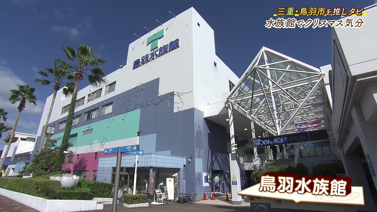 人気の生きものたちに出会える! 魅力的な展示とイベントが盛りだくさんの水族館