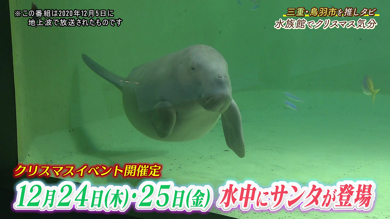 人気の生きものたちに出会える! 魅力的な展示とイベントが盛りだくさんの水族館