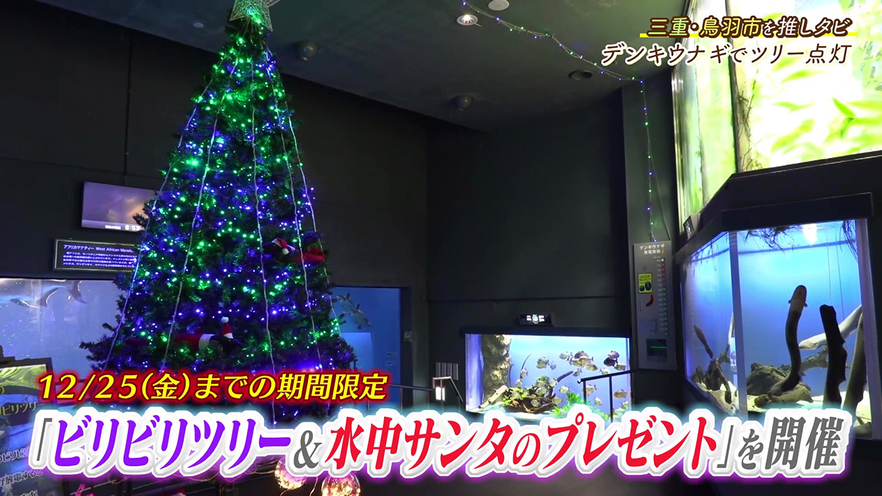 人気の生きものたちに出会える! 魅力的な展示とイベントが盛りだくさんの水族館