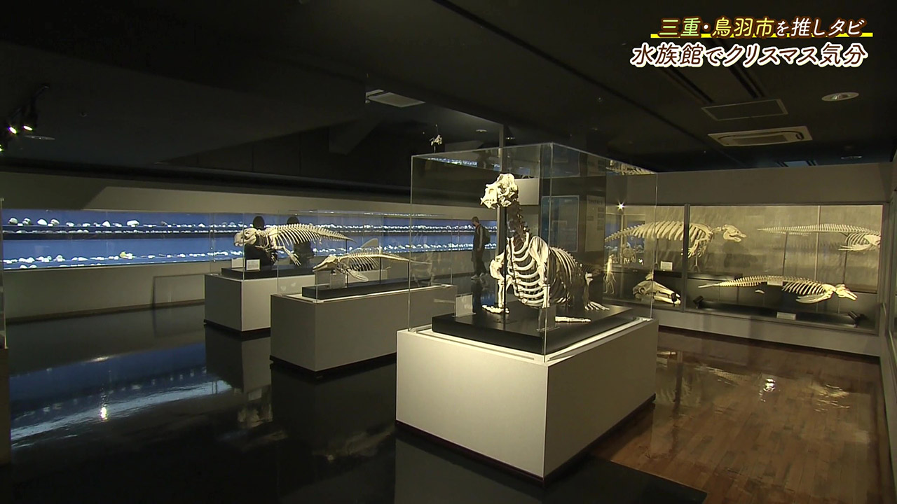人気の生きものたちに出会える! 魅力的な展示とイベントが盛りだくさんの水族館