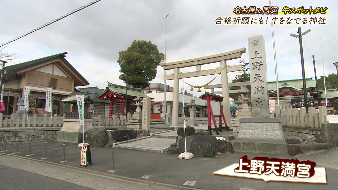牛をなでてご利益をいただく! 学問の神様を祀る『上野天満宮』