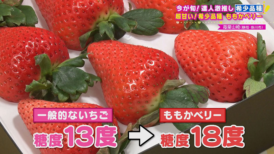 いちごの品種開発に携わるスペシャリスト激推し! SNS映え必至の最新いちごスイーツ&自宅で楽しめるオンラインいちご狩り
