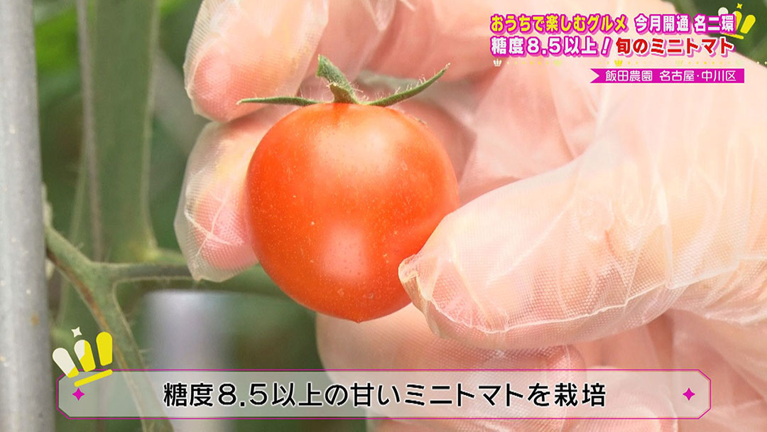 パフェにのっていてもおかしくない甘さ!海の恵みで育ったトマトに、癒し度満点の激カワ金魚!全線開通“名二環