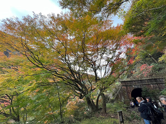 きのう紅葉見てきました！