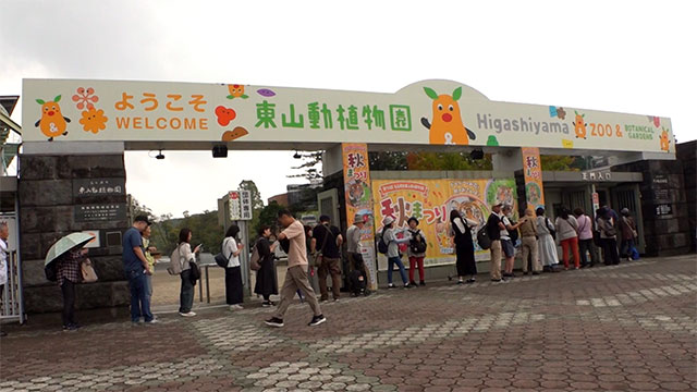 動物園マニアが伝授！秋の東山動植物園完全ガイド