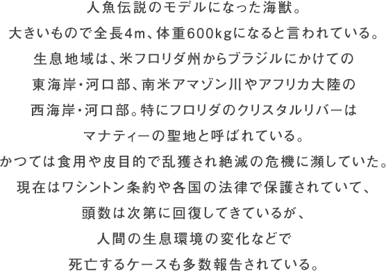 マナティームービー