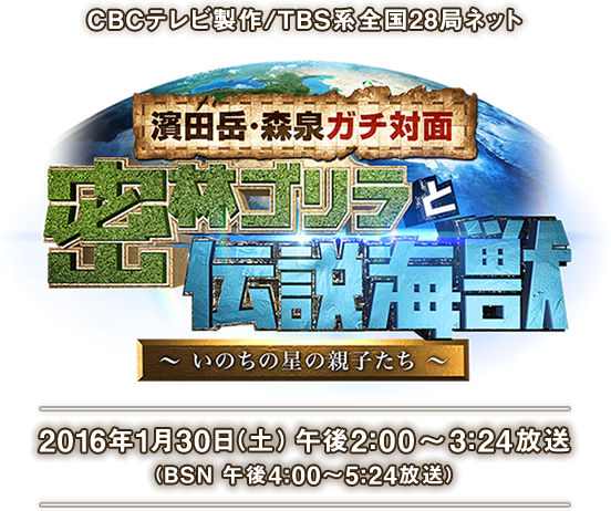 Hicbc Com 濱田岳 森泉ガチ対面 密林ゴリラと伝説海獣 いのちの星の親子たち