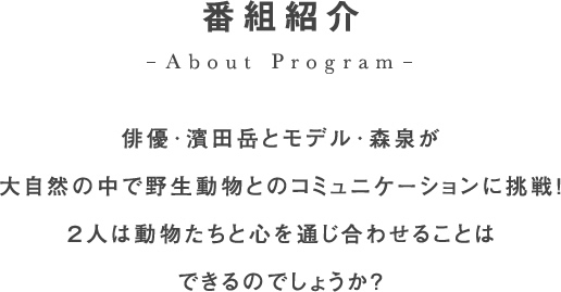 番組紹介