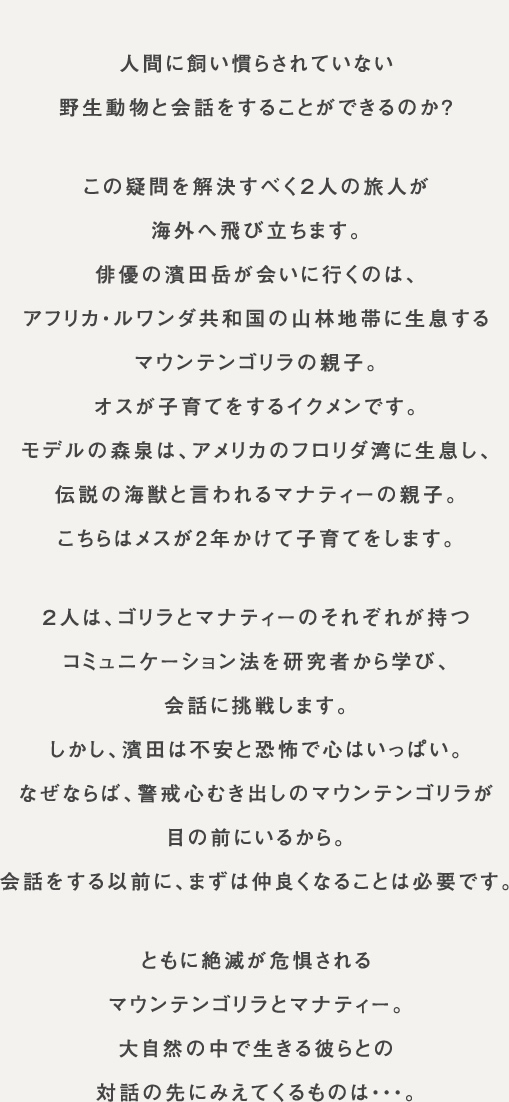 人間に飼い慣らされていない野生動物と会話をすることができるのか？この疑問を解決すべく２人の旅人が海外へ飛び立ちます。俳優の濱田岳が会いに行くのは、アフリカ・ルワンダ共和国の山林地帯に生息するマウンテンゴリラの親子。オスが子育てをするイクメンです。モデルの森泉は、アメリカのフロリダ湾に生息し、伝説の海獣と言われるマナティーの親子。こちらはメスが2年かけて子育てをします。２人は、ゴリラとマナティーのそれぞれが持つコミュニケーション法を研究者から学び、会話に挑戦します。しかし、濱田は不安と恐怖で心はいっぱい。ならならば、警戒心むき出しのマウンテンゴリラが目の前にいるから。会話をする以前に、まずは仲良くなることは必要です。ともに絶滅が危惧されるマウンテンゴリラとマナティー。大自然の中で生きる彼らとの対話の先にみえてくるものは・・・。