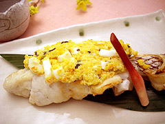 080303_phot