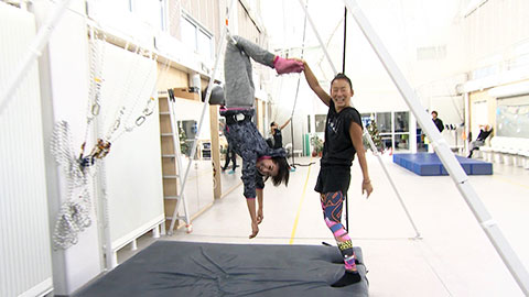 Fly'n Fit trapeze studio