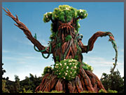 宇宙植物怪獣ソリチュラの写真