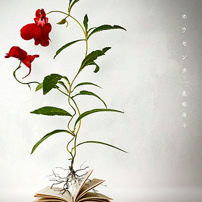 ホウセンカ／奥崎海斗